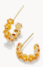 Load image into Gallery viewer, Kendra Scott Cailin Gold Crystal Huggie Earrings