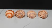 Load image into Gallery viewer, Faux Croissants