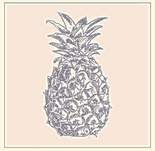Load image into Gallery viewer, Euroscrubby Dishcloth