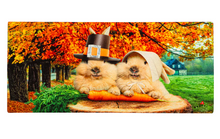 Load image into Gallery viewer, Sassafras Switch Mats