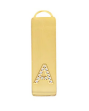 Load image into Gallery viewer, Initial Bar Necklace