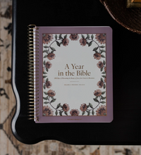 Load image into Gallery viewer, A Year In The Bible - Vol. 4