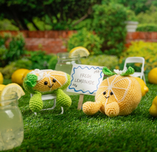 Load image into Gallery viewer, Zesty Besties Crochet Kit