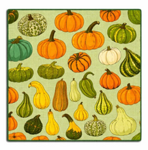 Load image into Gallery viewer, Oh My Gourd Dish Cloth