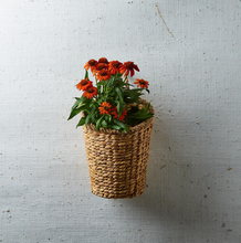 Load image into Gallery viewer, Hanging Storage/Planter Basket