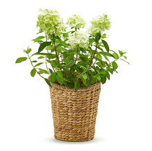 Load image into Gallery viewer, Hanging Storage/Planter Basket