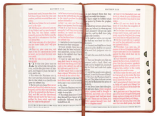 Load image into Gallery viewer, KJV Bible