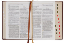 Load image into Gallery viewer, KJV Study Bible