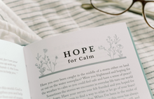 Load image into Gallery viewer, The Prayer Jar Devotional Series