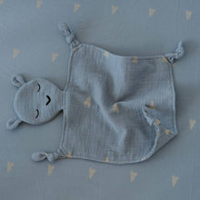 Load image into Gallery viewer, 100% Muslin Lovey - Windy