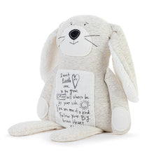 Load image into Gallery viewer, Poetic Threads Plushie