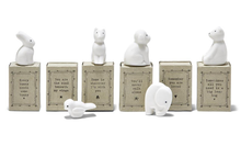 Load image into Gallery viewer, Matchbox Animal in Gift Box