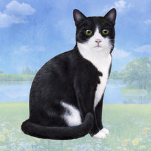 Load image into Gallery viewer, Pet Coasters