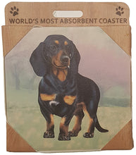 Load image into Gallery viewer, Pet Coasters