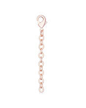 Load image into Gallery viewer, Kendra Scott Necklace Extender 2" Lobster Clasps