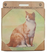 Load image into Gallery viewer, Pet Coasters