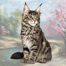 Load image into Gallery viewer, Pet Coasters