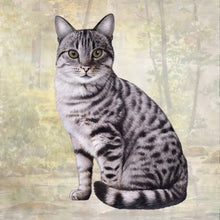Load image into Gallery viewer, Pet Coasters