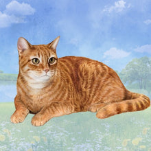 Load image into Gallery viewer, Pet Coasters