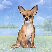 Load image into Gallery viewer, Pet Coasters