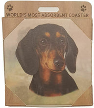 Load image into Gallery viewer, Pet Coasters