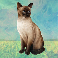 Load image into Gallery viewer, Pet Coasters