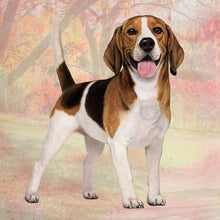 Load image into Gallery viewer, Pet Coasters
