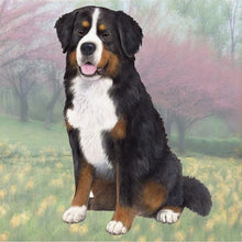 Load image into Gallery viewer, Pet Coasters
