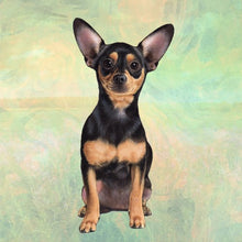 Load image into Gallery viewer, Pet Coasters