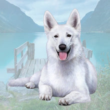 Load image into Gallery viewer, Pet Coasters