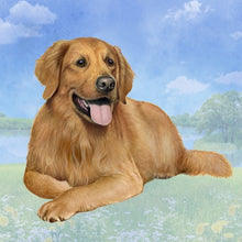 Load image into Gallery viewer, Pet Coasters