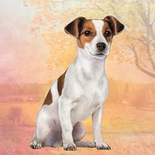 Load image into Gallery viewer, Pet Coasters