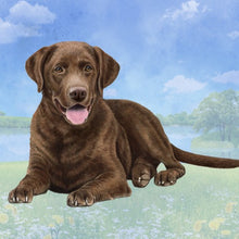 Load image into Gallery viewer, Pet Coasters