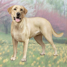 Load image into Gallery viewer, Pet Coasters