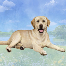 Load image into Gallery viewer, Pet Coasters