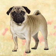 Load image into Gallery viewer, Pet Coasters