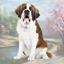 Load image into Gallery viewer, Pet Coasters