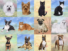 Load image into Gallery viewer, Pet Coasters