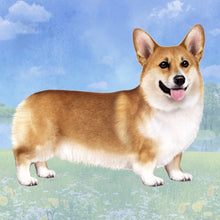 Load image into Gallery viewer, Pet Coasters