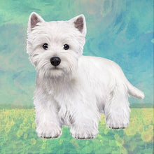 Load image into Gallery viewer, Pet Coasters