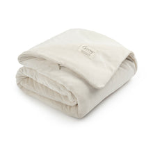 Load image into Gallery viewer, Weighted Throw Blanket