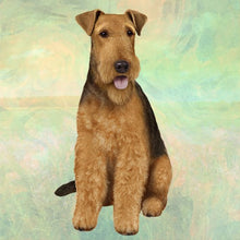 Load image into Gallery viewer, Pet Coasters