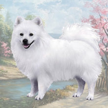 Load image into Gallery viewer, Pet Coasters