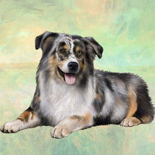 Load image into Gallery viewer, Pet Coasters