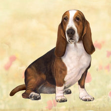 Load image into Gallery viewer, Pet Coasters