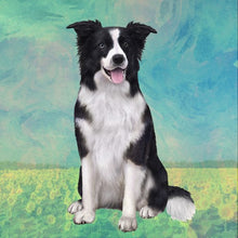 Load image into Gallery viewer, Pet Coasters