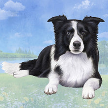 Load image into Gallery viewer, Pet Coasters