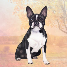 Load image into Gallery viewer, Pet Coasters