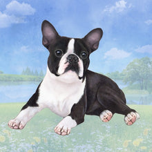 Load image into Gallery viewer, Pet Coasters