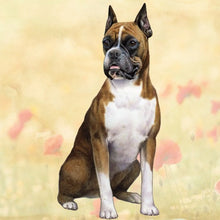 Load image into Gallery viewer, Pet Coasters